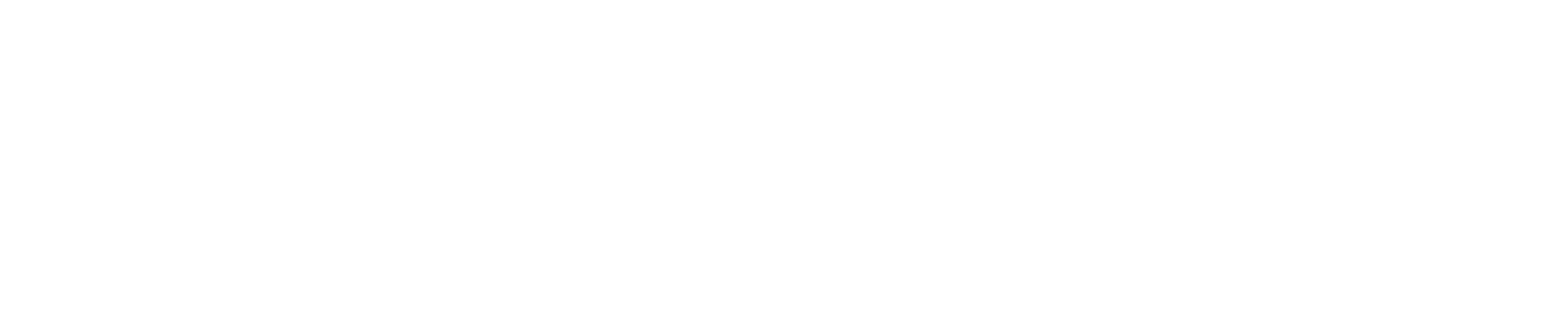 NM Logo